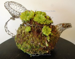 Succulents in Wire teapot at Wall Flower Studio
