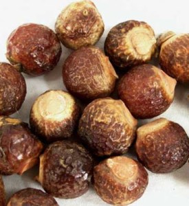 soapnuts WFS