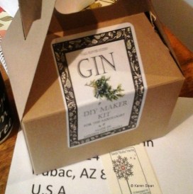 DIY Gin Kit at Wall Flower Studio