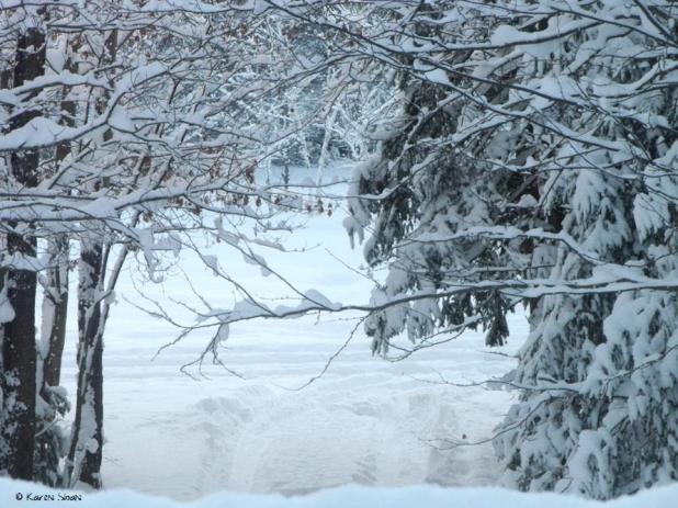 10730959_10152798215876488_6648079829174122886_n