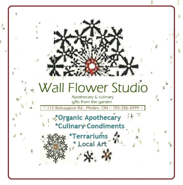 Wall Flower Studio business logo square