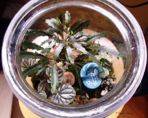 Fairy terrarium blue chair from above