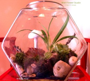 Fishbowl terrarium with mushroom - Wall Flower Studio