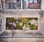 17240632025_41d3dcb7b2_o