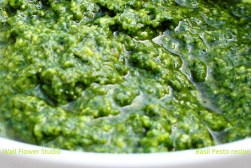 fresh-basil-pesto-recipe-wfs