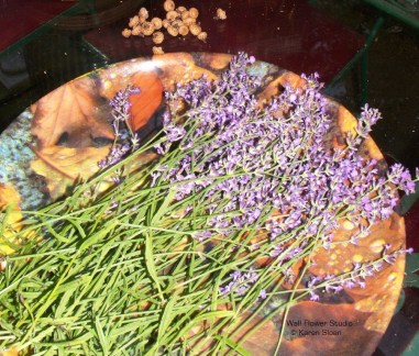 last-of-the-lavender-harvest
