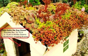 stay-outta-the-dog-house-wfs-minden-shopping-evening-living-green-roof